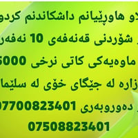 قەنەفە شۆری صدەف • السليمانية