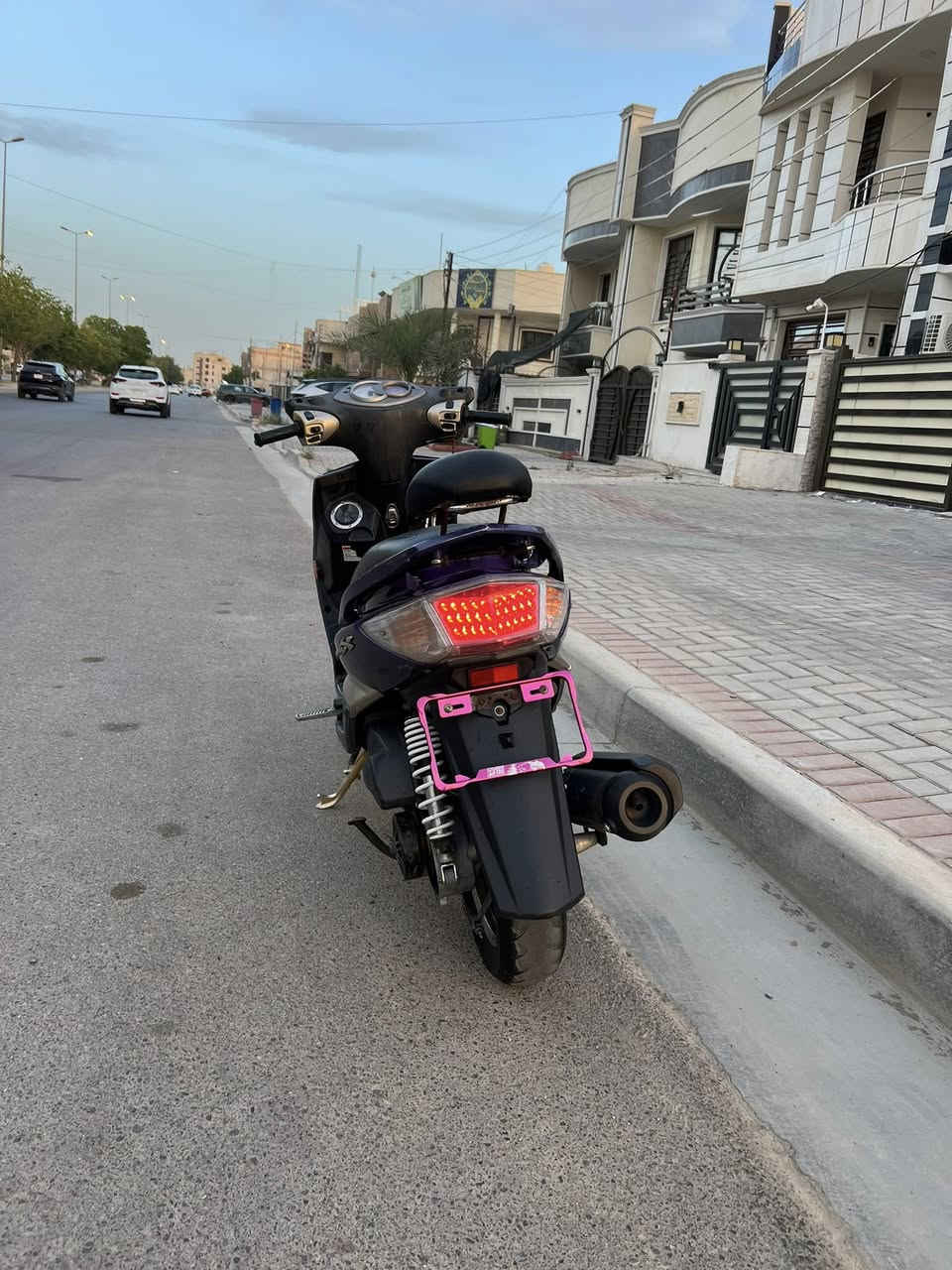 سلام عليكم 

سكنس فحل ام طلاعات كفاله للبيع للستفسار خاص 💙

***********
