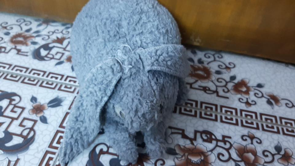 للبيع كلهن ب10 مكان حرية يم مدرسة المحمرة


**إذا كنت صاحب هذا الإعلان وتريد حذفه لأي سبب، رجاءا أرسل رسالة إلى الدعم الفني**