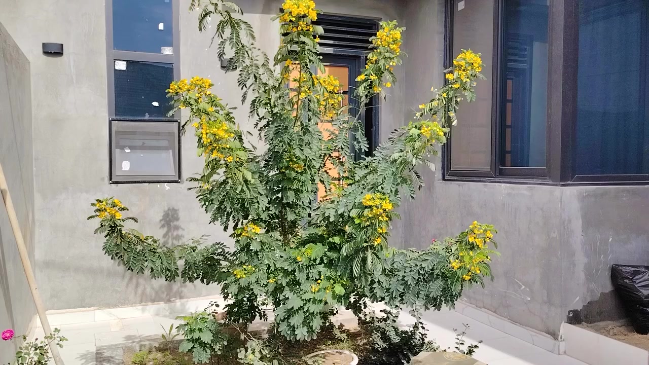 مكتب محمد البدران للعقار 

دار للــبيع طــابو زراعــي   زوير قرب جسر بته  

#المساحه ٢٠٠متر     
التقسيم  الثاني   حسين رضا

#الطابق #الأول
صاله سويت  ومطبخ  وهول  وصحيات   وغرفتين نوم  

#االطابق #الثاني 

٣ غرفة نوم  وهول  وصحيات ٢ 

#ملاحظه علما أن الدار موقع ممتاز خدمات كامله من ماء وكهرباء وتبليط 
   وعرض الشارع ١٠ متر 
*********** واتس 

عنوان المكتب 
حله جسر الثوره مجاور ٢٤ ساعه  عمارة سلطان فون
