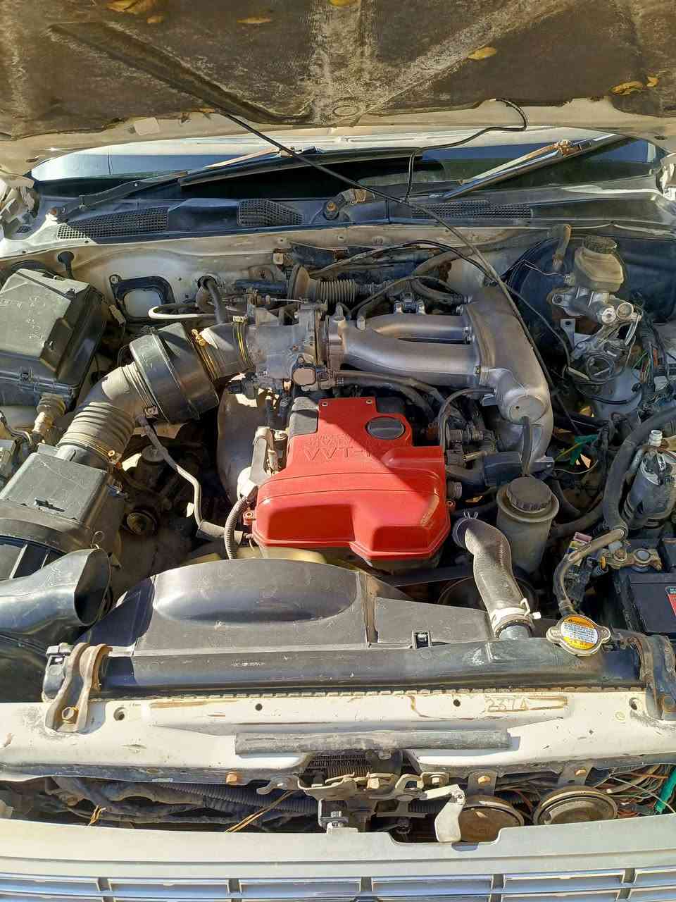 هارتوب كصيف رقم واسط بسمي سنويه 28 معمره بلكامل مكفوله من الكص والنقل 
مكان واسط — صويره — السعر — 39

***********
