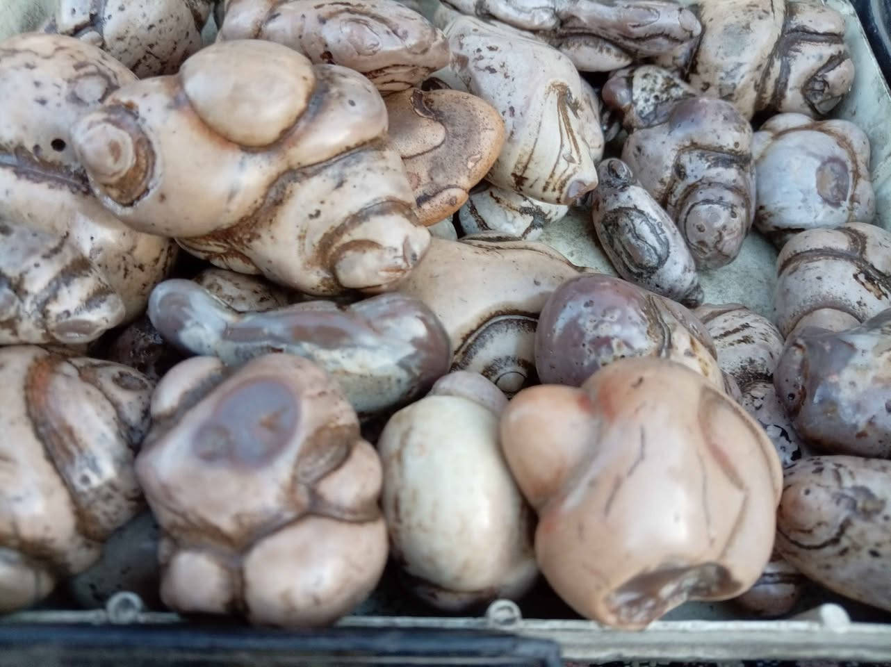 انواع الأحجار متوفرة
تواصل واتساب *********** بغداد, العراق
