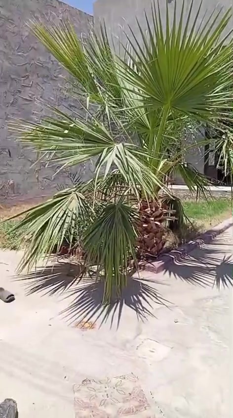 بيت للايجار يتكون من غرفه نوم وصاله ومطبخ وحمام وصحيات وديوان وطرمه وحديقه وكراج اجاره ٣٠٠ قرب اسوق مشمشه
بيت للايجار يتكون من غرفه نوم وصاله ومطبخ وحمام وصحيات وديوان وطرمه وحديقه وكراج اجاره ٣٠٠ قرب اسوق مشمشه
التفاصيل اتصل على الرقم ***********
