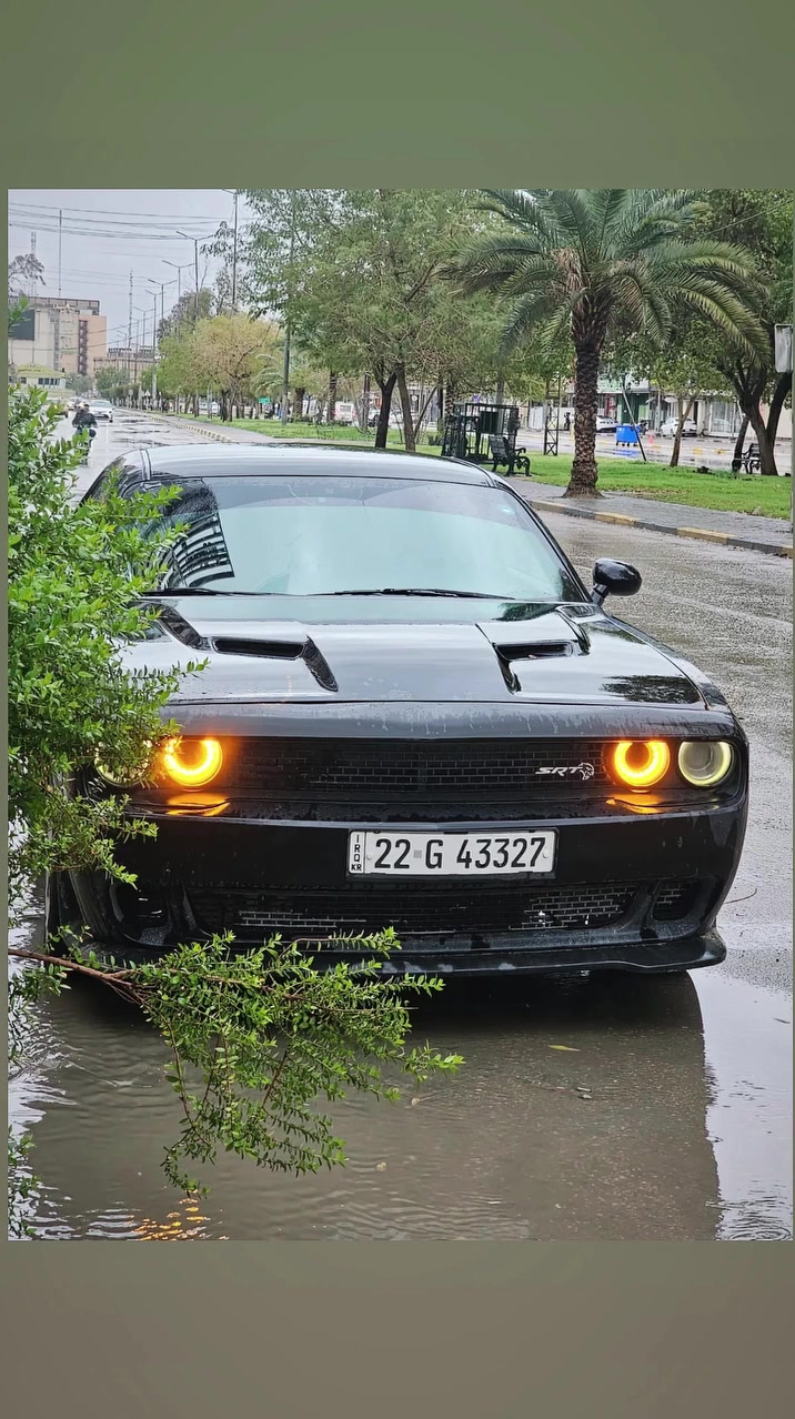 جالنجر ٢٠١٦ سته رقم اربيل ب اسمي حادث بسيط جدا مال جناي اريد مراوس ب جارجر علمود ٤ بيبان صور الحادث وسونار تعال خاص


**إذا كنت صاحب هذا الإعلان وتريد حذفه لأي سبب، رجاءا أرسل رسالة إلى الدعم الفني**