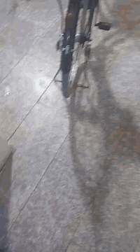 مكلف بالنشر بايسكل للبيع بناتي نظيف صاحبه رايده ي٧٥وبيه مجال مكانه الشرطه الخامسه وهذا رقم تلفون ابو البايسكل  للتواصل وبيه واتس***********ابو محمد
