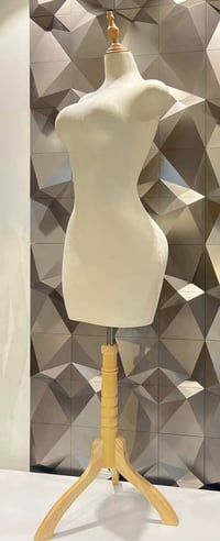 ستاند ذهبي • جديدة • درجة أولى