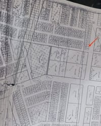 بل ٧٩ • شارع ٣٠ • ٢٠٠م