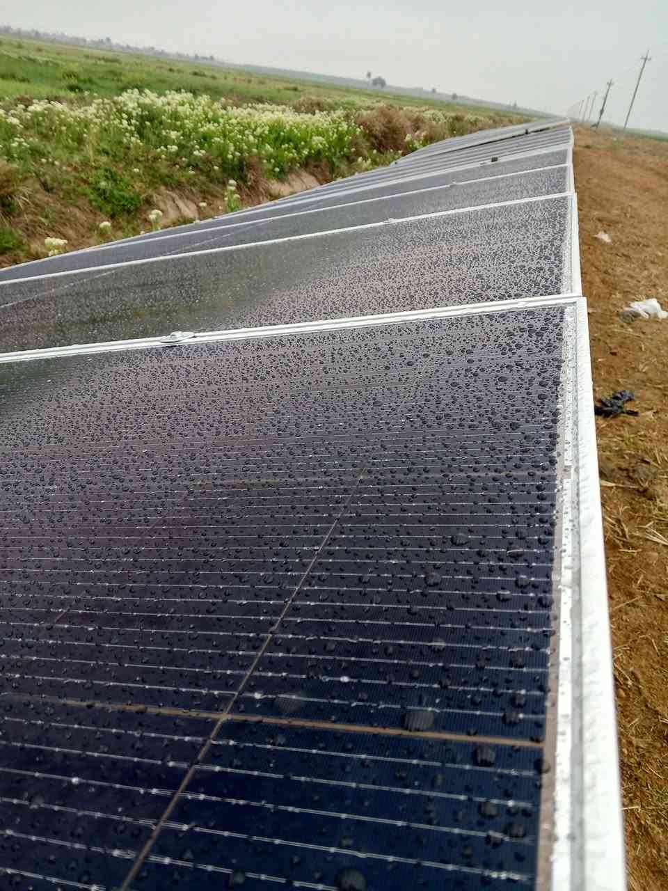 بعونه تعالى 
تم #تنصيب #منظومه #طاقه #شمسيه 

لقطاس #زراعي 30 حصان 

في #الرياض   قريه #المرادية

#للاخ محمود 

مكونات #المنظومة 

🛑عدد الالوح 48
 🛑بضمان 10سنه وبعمر افتراضي 25سنه 
🛑جهاز انفيرتر 37kw  بضمان سنتين 
🔴حديد مغلون ضد الصداء  1.5ملم 
🔴ربط فيوزات حمايه  صاعقه  

🔴🔴يوجد جميع انواع الطاقات المنزليه والزراعيه  🔴🔴#اسعار.مناسبه  

*********** عبد الكريم 
***********  فراس
