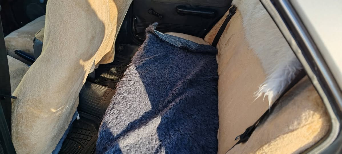 سلام عليكم
مازدا 323موديل1991
مشروع وطني2028بطاقه بنزين بي.شرط  تحويل وكاله. 
كير ومحرك شرط فيتر 
صدر امامي خلفي شرط
كهربائيات كلة شغالة تفيه شغال 
سيارا  مصبوغ جماليه 
تيكمه صكف بدون معجون 
سيارا جاهز مابي ربع دينار مصرف
*********** 
*********** 
عنوان كركوك شوراو 
إذا شراي خابر ماجاوب تعليق 
وتددلل
