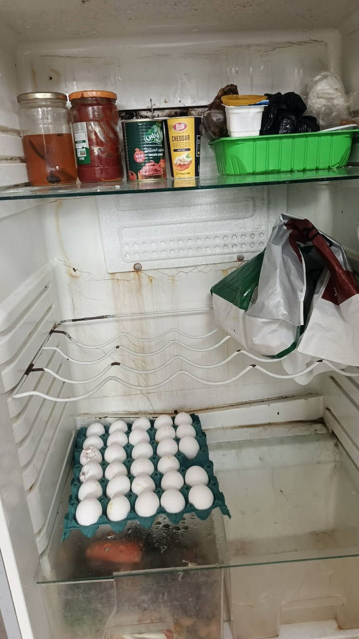 سلام عليكم ثلاجه حجم 28كبير البيع
***********واتساب بيه مجال
