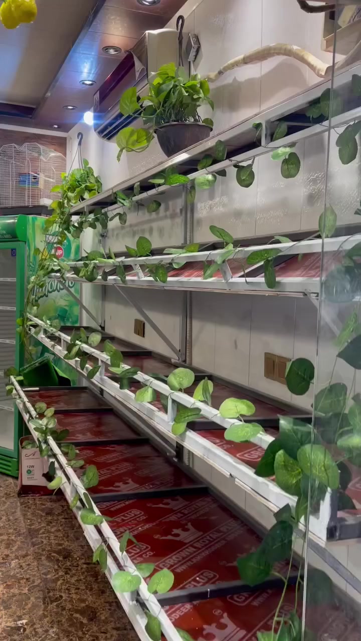 سلام عليكم رفوف للبيع العدد ٢ لأول ٤ متر و٤٠ والثاني ٣ و٦٠ السعر ٥٠٠ وبيهن مجال لاتصال ***********
