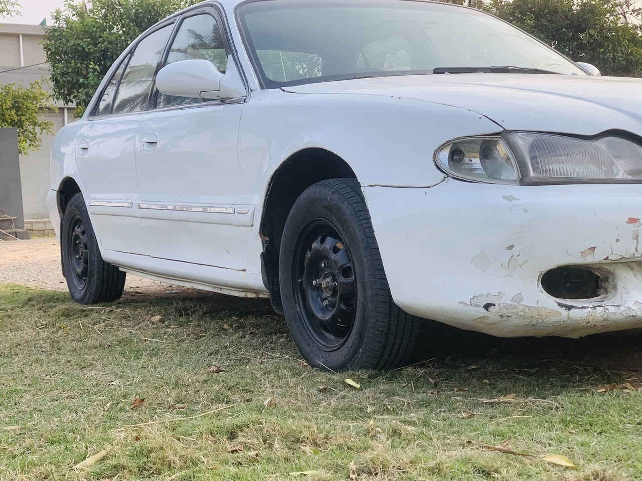 سوناتا موديل 2000 رقم واسط تحويل مباشر سنوية إلى 2026 جاهزة من كير ومكينه وصدر وتخم تاير كهربائيات كلها شغالة كشرتها حلوة بيها صبغ حزام بدون ظربة اوتصليح السعر 33 وبيها مجال المكان واسط العزيزية للاستفسار الاتصال على الرقم 
***********
