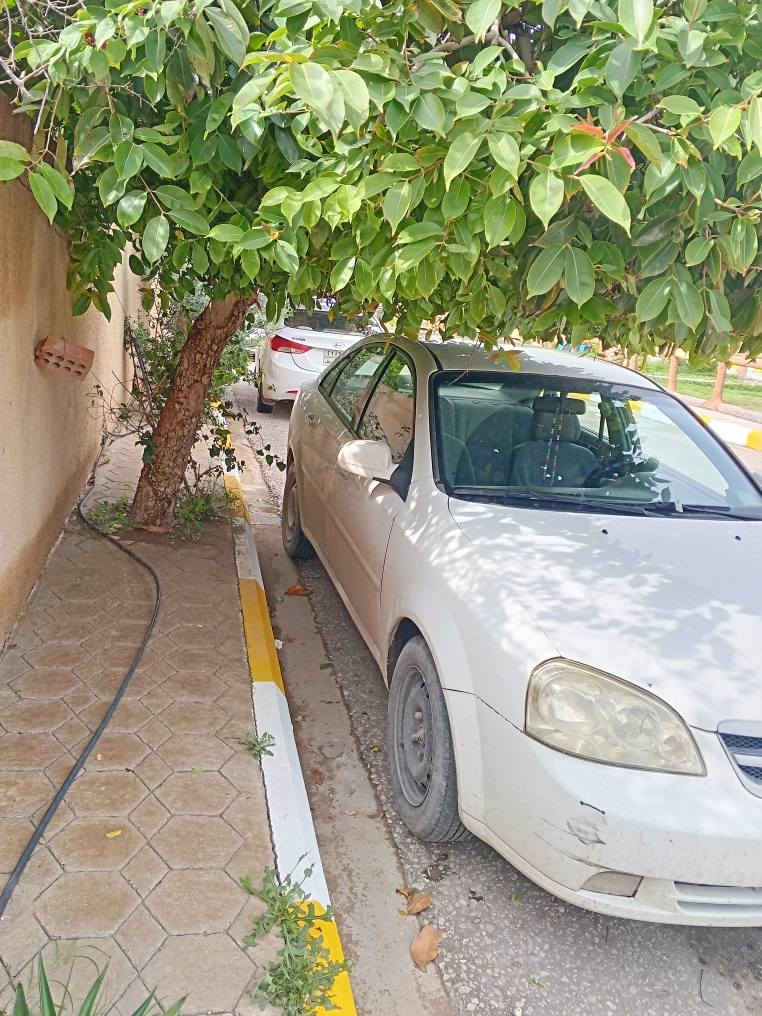 اوبتره موديل 2011 سياره حلوه من كير محرك حداديه يرادله فتح بيه طخه بالجاملخ الخلفي وطخه بالبنيد فقط سياره مال جناي كربلاء, العراق


**إذا كنت صاحب هذا الإعلان وتريد حذفه لأي سبب، رجاءا أرسل رسالة إلى الدعم الفني**