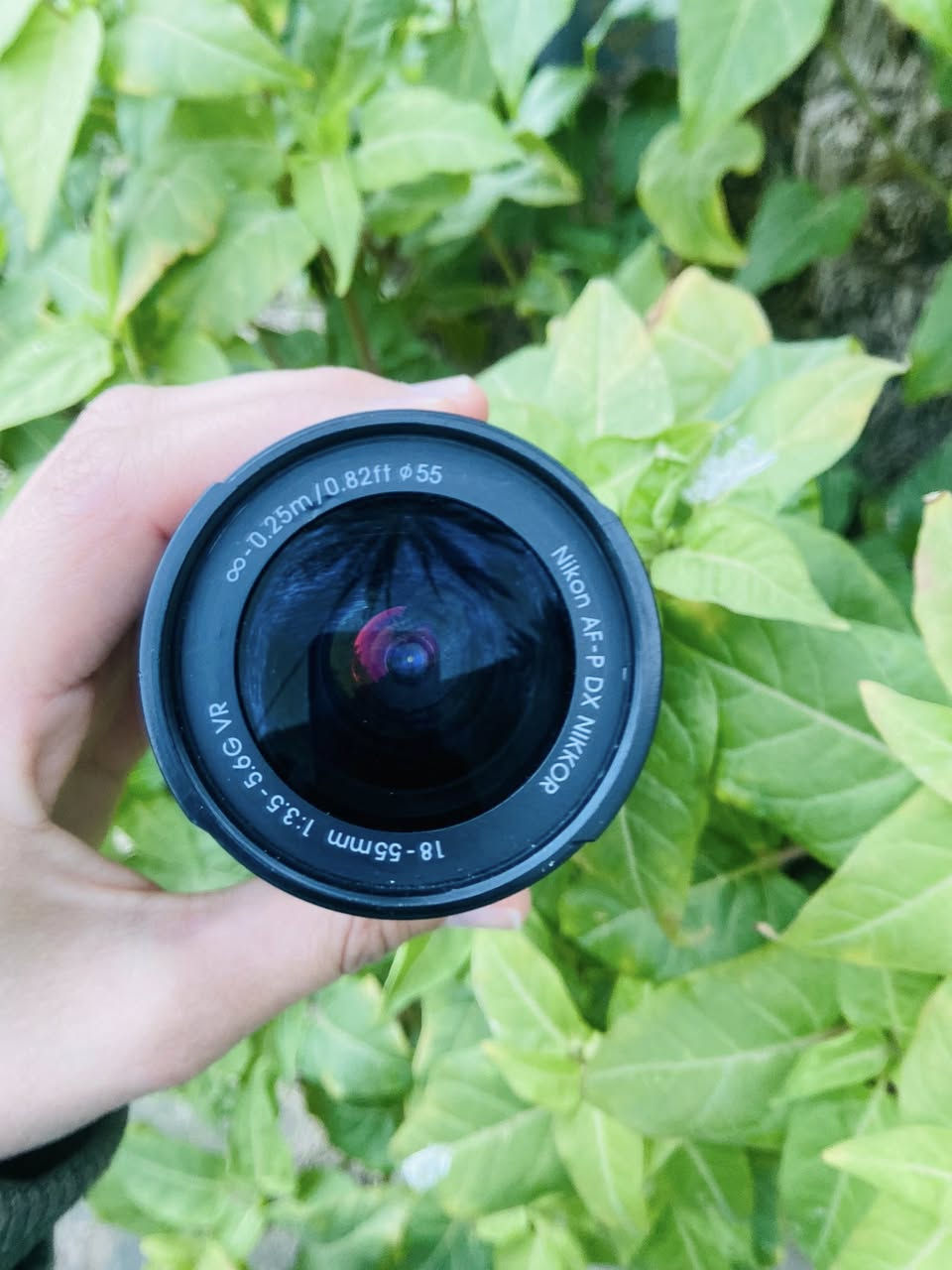 عدسه نيكون 55mm-18 
مستخدمه جداً قليل  السعر مناسب 75مع التوصيل


**إذا كنت صاحب هذا الإعلان وتريد حذفه لأي سبب، رجاءا أرسل رسالة إلى الدعم الفني**