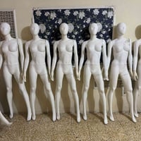 ملكان نسائي فضائي للبيع العدد 10 السعر مناسب التواصل واتساب 0771605086...