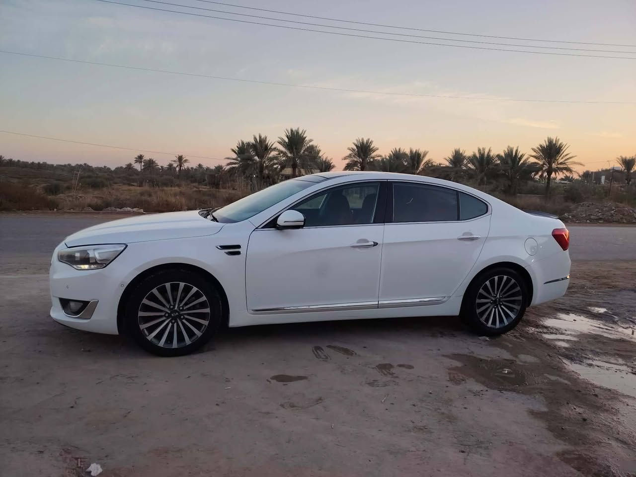 يالله سلام عليكم من رخصت الادمن كيا كادنزا 2013 كوري  كفاله عامه سياره جديده رقم بغداد باسمي فول مواصفات تبريد ثلج تتفئه نار مكينه وكير كفاله عامه تخم تاير بيه بارد شبر بل باب سايق سياره مال جناي مكينه 4 سلندر. اي ستفسار اتصل *********** مكاني بابل مشروع المسيب. السعر 128 وبيه مجال حك الجيه
