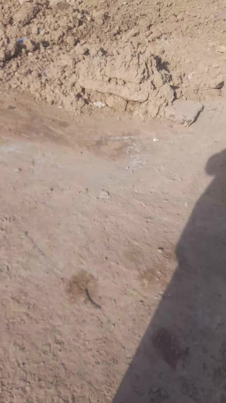 البيت للبيع المساحه 250 طابوزراعي ولتفاصيل داخل الفديو الاستفسار***********
