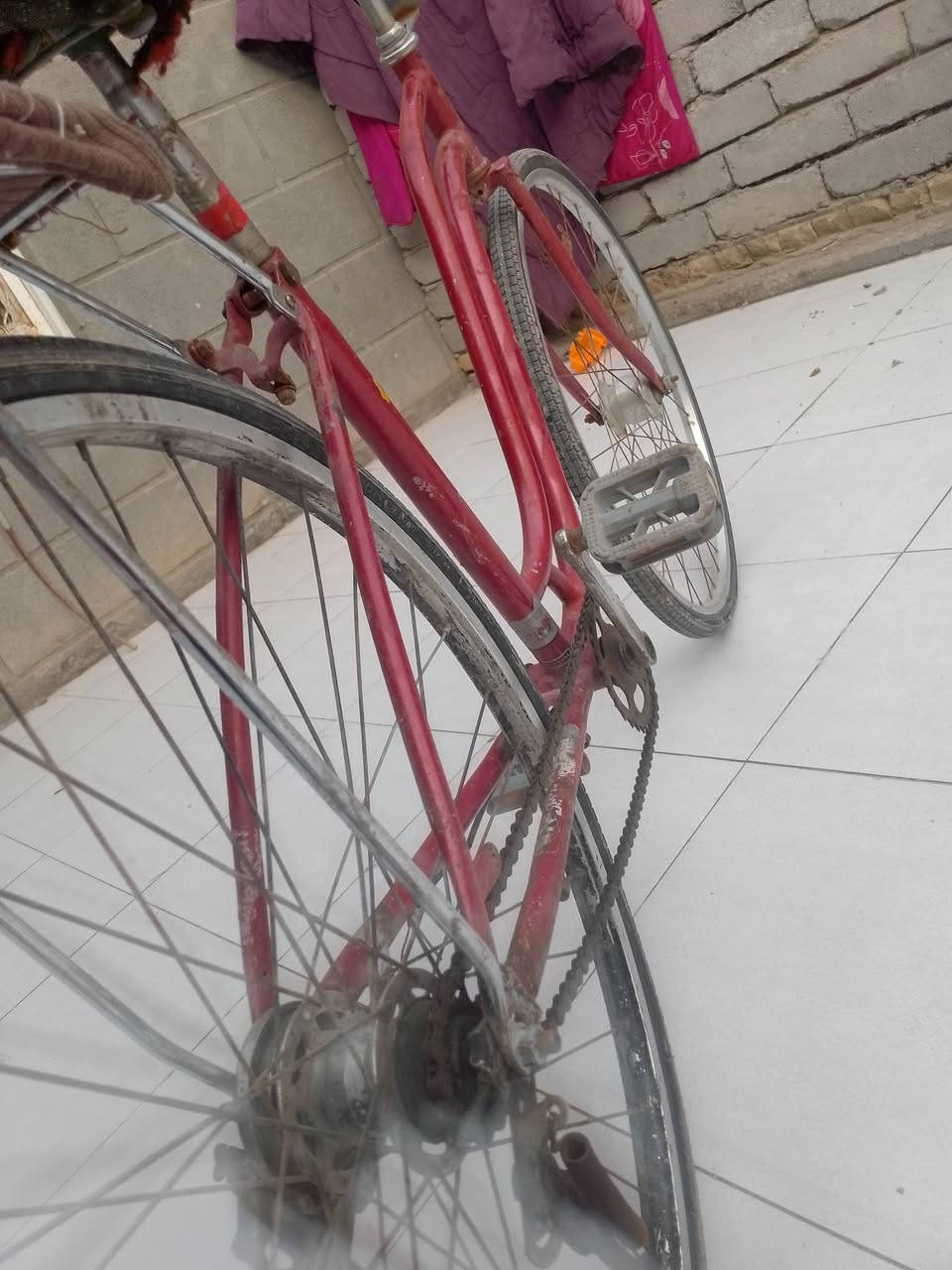 سلام عليكم بايسكل حجم27للبيع مكان سوق الشيوخ ناحيه العكيكه ناضم كرمه حسن السعر 30 ولشراي يراسل


**إذا كنت صاحب هذا الإعلان وتريد حذفه لأي سبب، رجاءا أرسل رسالة إلى الدعم الفني**