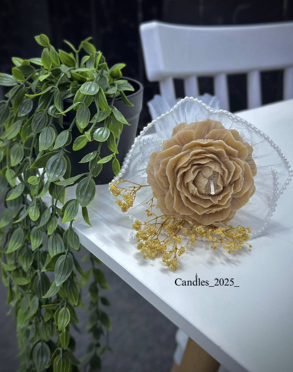 مسكه حلوه  🌸


**إذا كنت صاحب هذا الإعلان وتريد حذفه لأي سبب، رجاءا أرسل رسالة إلى الدعم الفني**