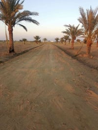 بستان للبيع • أرض زراعية • 2 دونم • بابو غريب سميلات • طابو زراعي • سن...