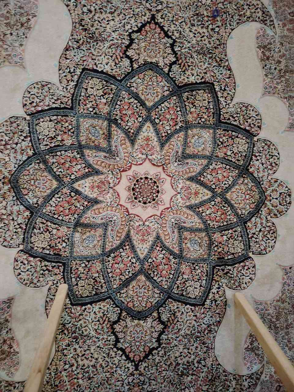 زوليه ايرانيه ١٢م ٣*٤ ١٢٠٠ شانه نظيفه السعر ٤٠٠


**إذا كنت صاحب هذا الإعلان وتريد حذفه لأي سبب، رجاءا أرسل رسالة إلى الدعم الفني**