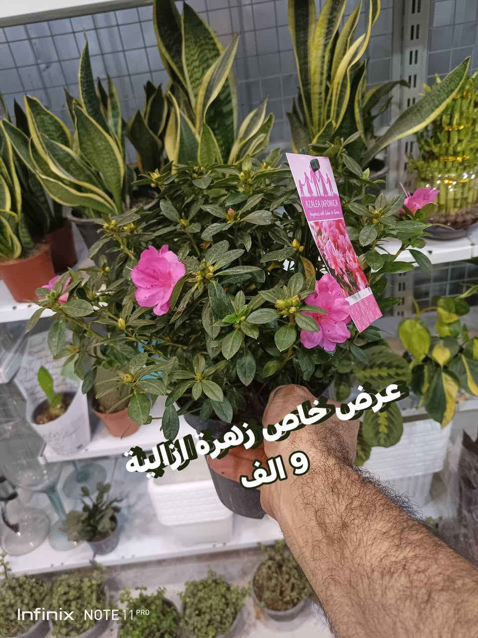 عرض خاص... ليوم الجمعة...الانبار الرمادي العزيزية مكان الجديد...من جهة شارع العام  شارع ميسلون  اول فرع على اليمين *********** ... يوجد توصيل داخل الرمادي. @الجميع
