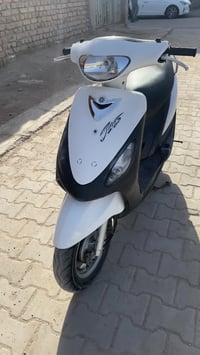 منغولي • ٤٩ • جديده