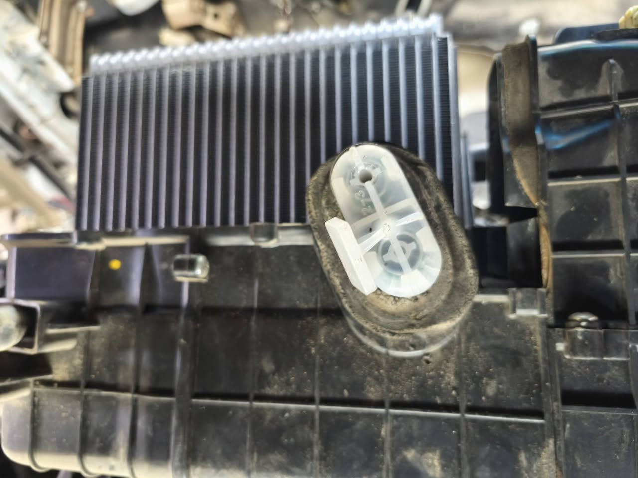 السلام عليكم 
تم اليوم بفضل الله تعالى استبدل. فريز  النترا  اخونا عمر جاسم   بفريز هانون اصلي وشحن حسب ضوابط الشركه المصنعه وتم. استبدل صونده  السحب. مع اعاده تثبيت الكمبريسر من بعد انقاط براغي الكمبريسر بالكامل وتم  استخراجها والحمد لله واستبدلها. جميعا


**إذا كنت صاحب هذا الإعلان وتريد حذفه لأي سبب، رجاءا أرسل رسالة إلى الدعم الفني**