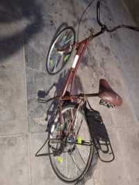 باسكل • ماروني • قضاء النصر