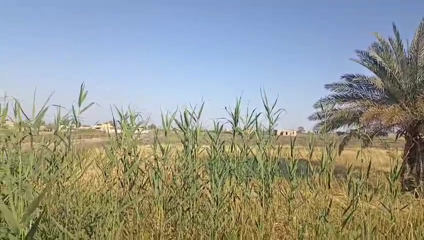 دونمين للبيع في اليوسفيه 
نهايت الشهداء بصف الضباط بيهه طريق من ضباط وطريق من شهداء 
طريق الهه جدامهه وبنهايته طريق  
مي جدامهه وبنهايتهه  وكهرباء فوكاهه 
وجدامهه جامع
واجهيه 21 

ونزالهه240
سعر دونم 53 مليون 