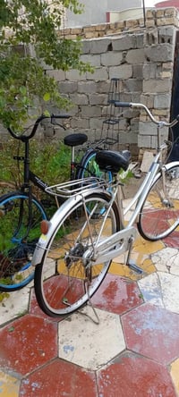 باسكل ياباني • عدد 2 • ديوانية