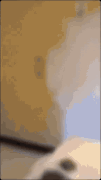 صبغ بيوت  داخلي وخارجي
تصليحات +طلس +معالجه الرطوبه
سحبات فوم وبورك 
🟦صبغ الحديد (الأبواب؛والشبابيك)
🟧صبغ السيراميك طلس عام سحبات 
#للاستفسار🖐️ ، ***********
