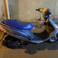 ماكس منغولي • نضيفه • قرنه شجره ادم