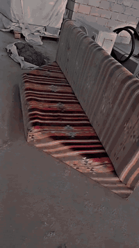 طخم. كعده عربيه.     جديد     بس يحتاجلهه دوشمه فقط.  سعرهه 100 تقريبن...