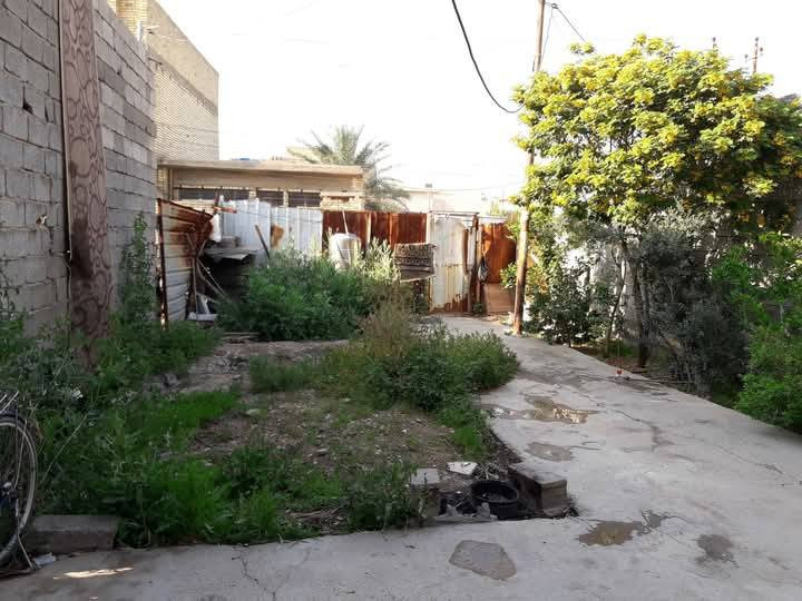 سلام عليكم دار للبيع  مساحه120 جنس زراعي سند 25 يحتوي من كراج واسع و غرفتين و خدمات و ترك خارجي و مطبخ سعر 40 وبي مجال موقع البيت الشعب منطقة السريدات القديمه مربع الثالث رقم الهاتف ***********
