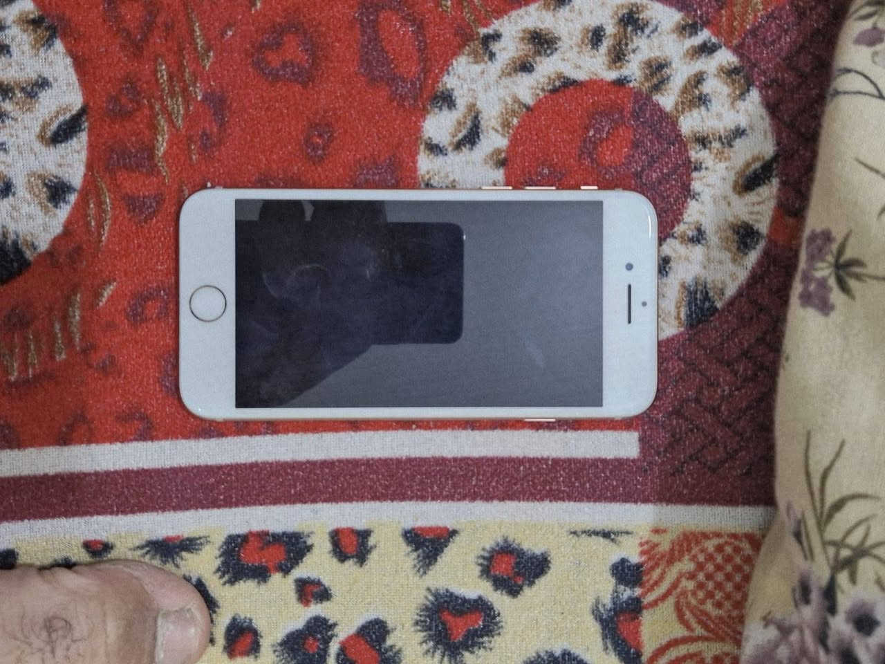 سلام عليكم ورحمة الله جهاز ايفون 7الجهاز لامفتوح ولامبدل بطاري جهاز كلش كلش نضيف اي ابو موبايلات اخذه اذا بدل بطاريه يرجع مكان بعقوبه التحرير ***********
