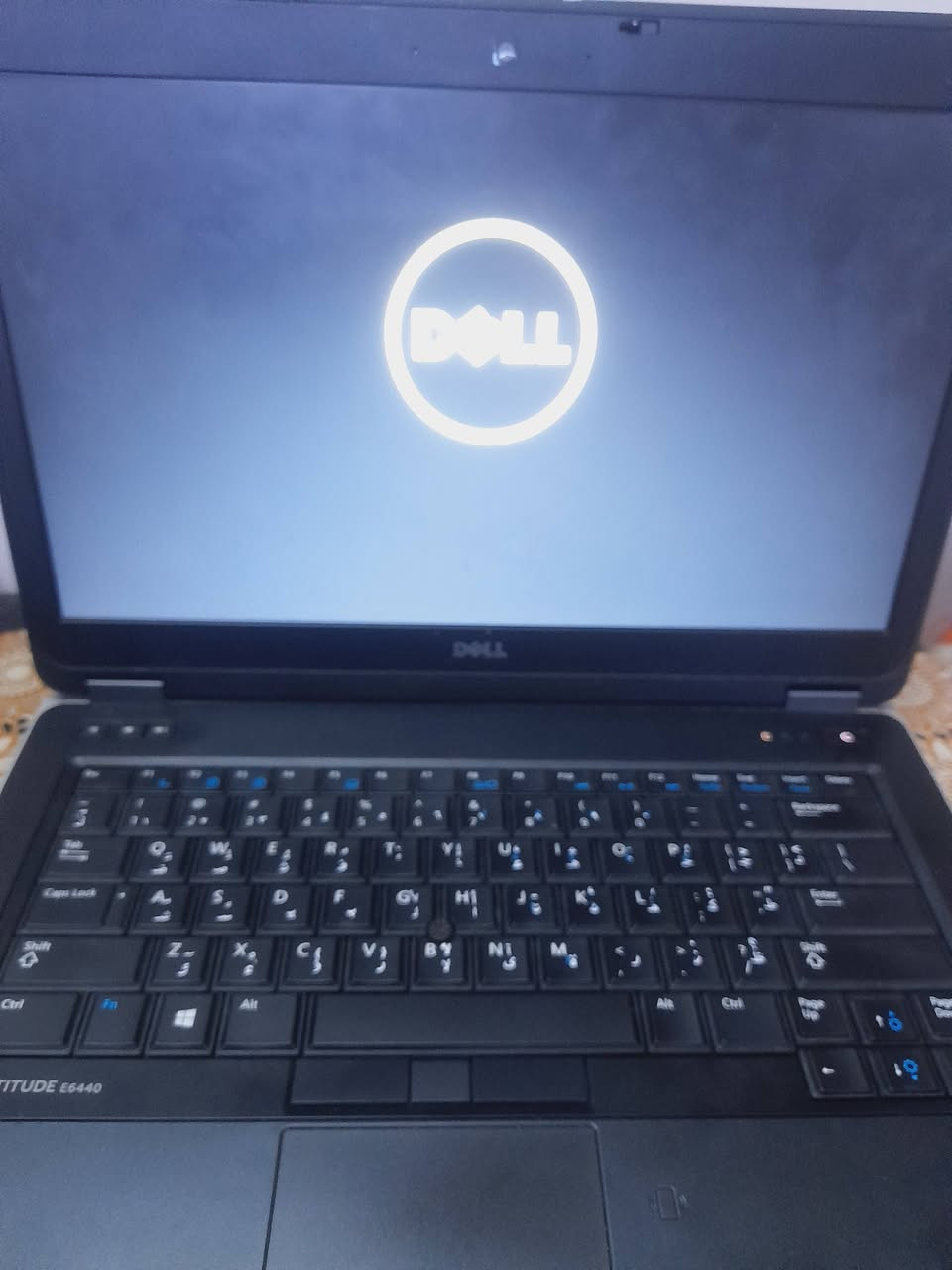 السلام عليكم
لابتوب نوع دل لا تيديود e6440

المعالج 15 جيل رابع

الرام : 8G DDR3

سعه التخزين : فائق السرعة اس اس دي 256 SSD

مواصفات الشاشه

1600 x 900 Pixel (HD)

14.1 inch" mat Display

حجم شاشة ١٤.١ انج)

كرت شاشه : 4600 intel HD ( ٤ كيكا داخلي )

البطاريه اصلية مع الضمان

مخرج hdmi

كاميرا

mic

مخارج USB

مخرج Vga

السعر مناسب 
للتواصل/  0‎7719438618


**إذا كنت صاحب هذا الإعلان وتريد حذفه لأي سبب، رجاءا أرسل رسالة إلى الدعم الفني**