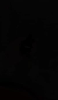 كرفان SXT • ٢٠٢٠ • محرك ٣٫٦