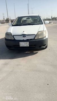 كورلا بيكتشو • ٢٠٠٤ • نجف حيدريه