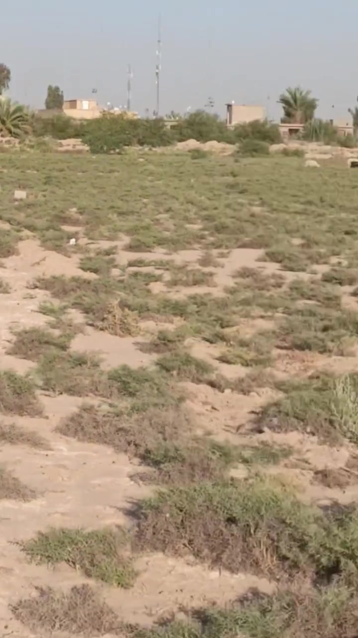 يا الله
قطعه للبيع مساحة ٢٥٠م
الوجه ١٢ونص ونزال ٢٠
السعر ٥٠
عرض شارع ١٥م
المربع الأول مقابيل البوابه
خلف محلات الشارع العام 
مستقبلها قريب 
موقع القطعه حلو بالقرب للمدينه
مثل ما موضح بالمقطع 
قياس بالمربع الثاني والخماس
من ناحية البعد 
للأستفسار أكثر 
مراجعة مكتب دار السلام
 بحي الموظفين
 او الاتصال 
ابو حيدر 
***********
***********
ابو حوراء 
***********
***********
