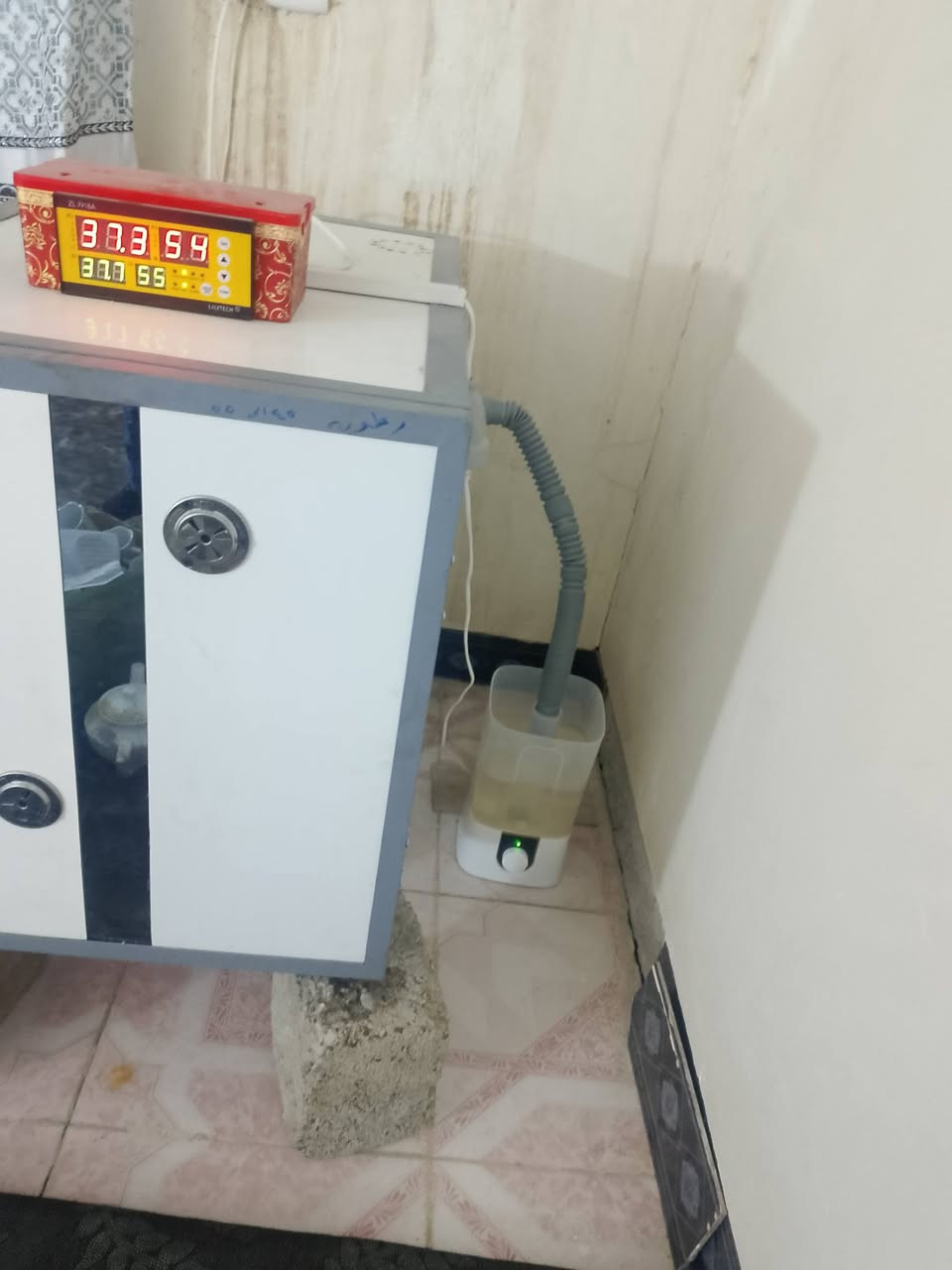 مفقس للبيع يحتوي الى 176بيضه توماتيك الشاري يتصل على الرقم *********** مكان النمرود قرية قريطاغ
