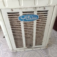 بلا عيب