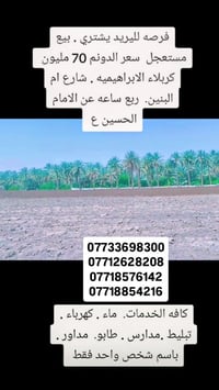 دونم مربع • الابراهيميه • ربع ساعة