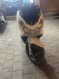 بيسي اكس • جيل اول • كفالة عام