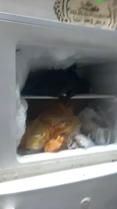 ثلاجه شرط الشغل والفحص اكبر حجم 170


**إذا كنت صاحب هذا الإعلان وتريد حذفه لأي سبب، رجاءا أرسل رسالة إلى الدعم الفني**
