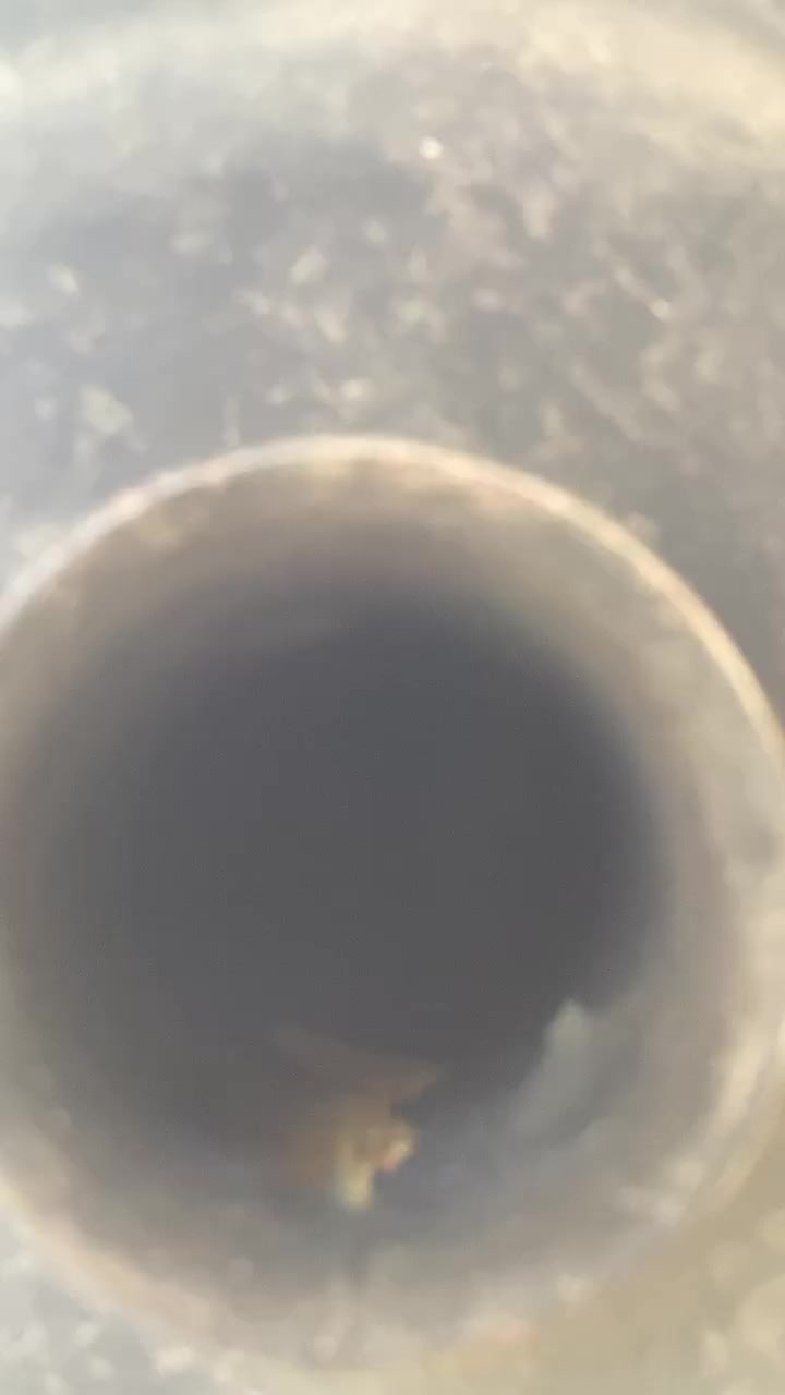 ماطور امتياز للبيع 2026بعده على السحك ب 700قفل مو شراي لا تعبني مكان بالقاسم ***********،
