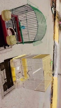 اقفاص • عدد ٢ • للبيع