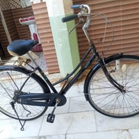 باسكل • حجم كبير • سعر مفتوح