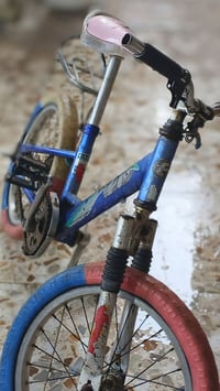 بايسكل • نظافة جيدة • ذي قار اريدو