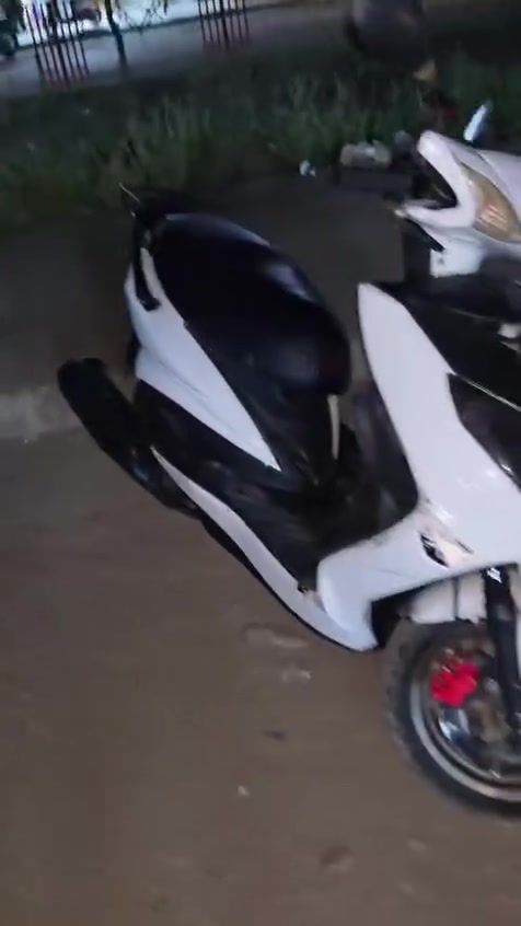 سكنس للبيع
550 وبيها مجال للشرتيه
روله ابلاد نكره سلف كهربائيات كامله
دراجه متعوب عليها الله شاهد 
مكاني ديالى بعقوبه للتواصل خاص


**إذا كنت صاحب هذا الإعلان وتريد حذفه لأي سبب، رجاءا أرسل رسالة إلى الدعم الفني**